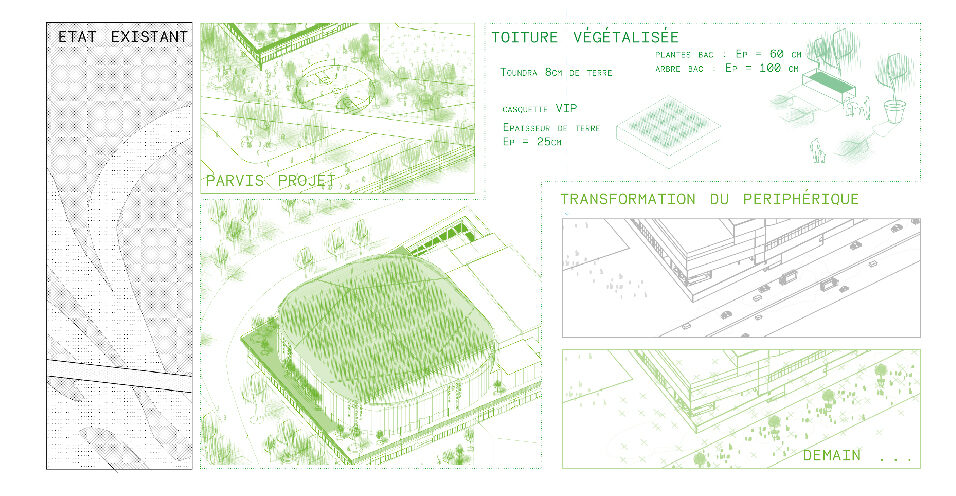 Arena végétalisation